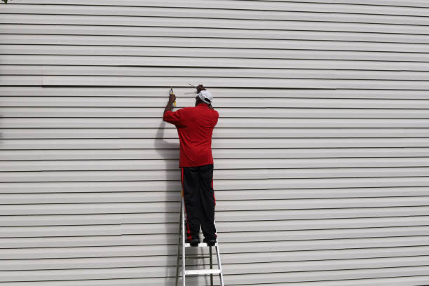  Remerton, GA Siding Installation Pros