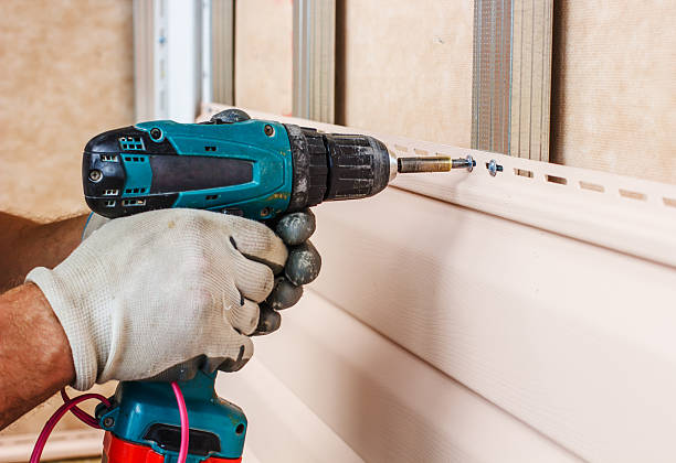 Best Aluminum Siding Installation  in Remerton, GA
